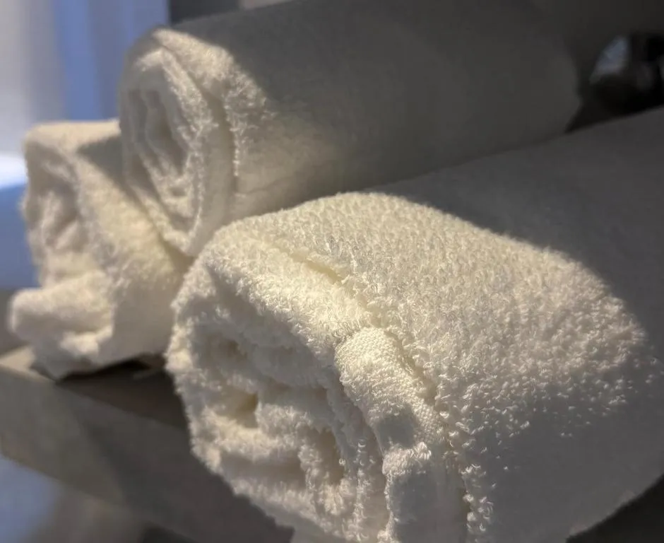 Suíte Luxo com cama de casal do Areião Park Hotel
